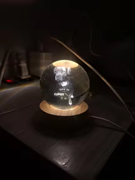 Image #1 from Darren Lim