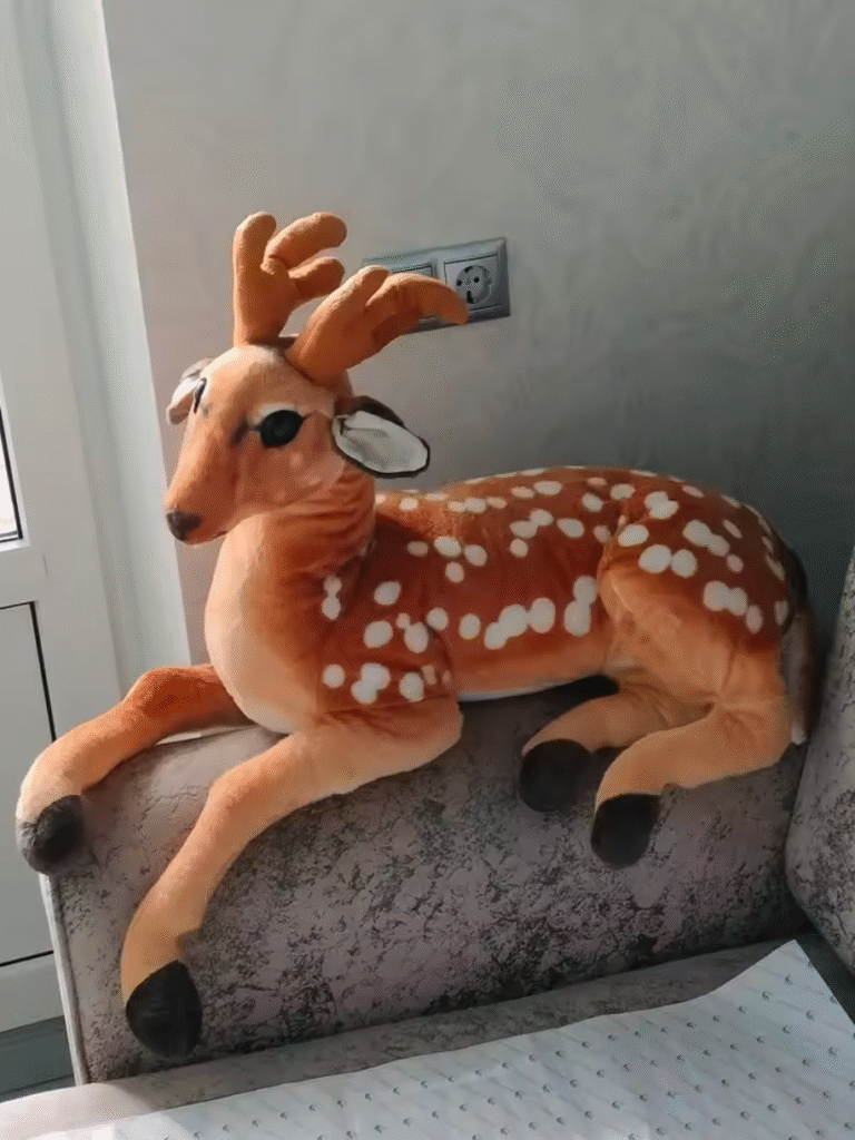 Image #1 from Farez H.